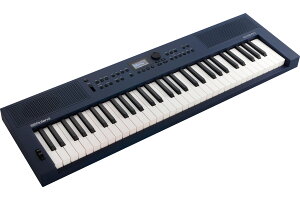 Roland [h / GOKEYS3-MU (GO:KEYS 3) ~bhiCgu[ Digital Keyboards񂹏ityaJXz