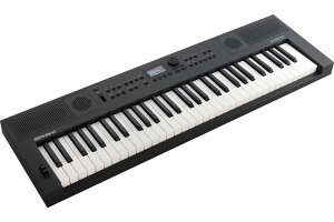 Roland ���[�����h / GOKEYS5-GT (GO:KEYS 5) �O���t�@�C�g Digital Keyboard�s�����񂹏��i�t�y�a�J�X�z