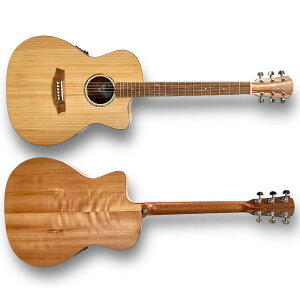 Cole Clark / Studio Series CCSAN1EC-BM Studio 1 Grade Bunya/Queensland Maple R[N[N