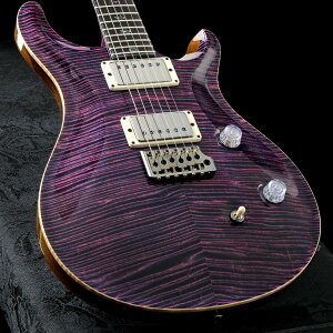 Paul Reed Smith (PRS) / Private Stock Brazilian #11021 Custom 24 Retro Ultraviolet(d:3.72kg)yS/N:23-371750zy䒃m{Xz
