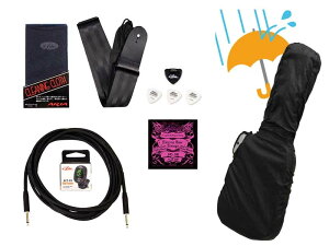 Aria / Ishibashi Gakki Original Electric Bass Accessary Set [4GLx[XpANZT[8_Zbg]