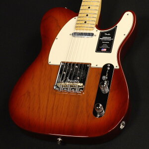 Fender / American Professional II Telecaster Maple Fingerboard Sienna Sunburst S/N:US25044557 yS֋XzyYRKz