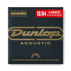 Jim Dunlop / DAP1254 Phosphor Bronze 12-54 Light AR[XeBbNM^[ ylXz