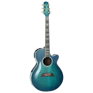 Takamine / FPT181AC SBB ({)(100 Series/V[gXP[) y퐻쏊 ^J~l GAR ARM AR[XeBbNM^[ yrܓXz