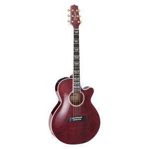 Takamine / FPT181AC WR 100 Series V[gEXP[ y퐻쏊 ^J~l { GAR