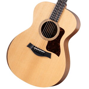 Taylor / Academy12e Natural [�P�g���t�@�C�h�E�X�v���[�X�g�b�v][�G���A�R]�e�C���[ �y���l�X�z