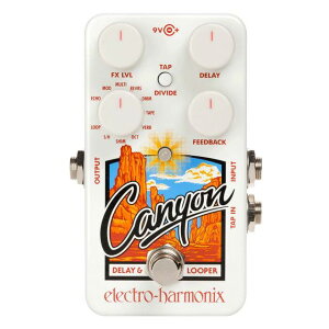 electro-harmonix / Canyon fBC/[p[ GNgn[jNXyaJXz