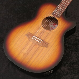 Cole Clark / Touring Series CCTL2EC-BLBL-BSUN 2 Grade All Blackwood R[N[NyS/N 240515942z y䒃mHARVEST_GUITARSz y9/20lIz