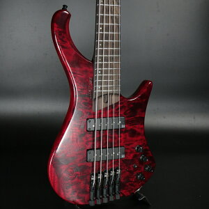 Ibanez / EHB1505-SWL (Stained Wine Red Low Gloss)yS/N I241117808zyAEgbgzyÉhXz