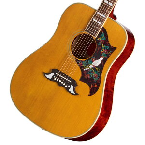 Epiphone / Inspired by Gibson Custom 1963 Dove Reissue Natural �G�s�t�H���y�䒃�m��HARVEST_GUITARS�z