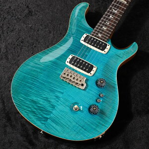 Paul Reed Smith (PRS) / 2025 Custom 24-08 Carroll Blue Pattern Thin Neck(d:3.31kg)yS/N:25 0407401z y䒃m{Xz
