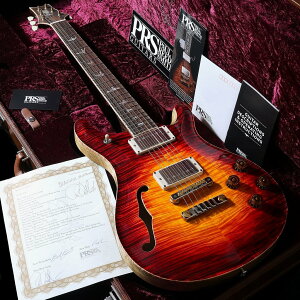 Paul Reed Smith (PRS) / 2024 Private Stock #11653 McCarty 594 Semi-Hollow Dragon's Breath GlowyS/N:24 388759zy䒃m{Xz