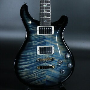 Paul Reed Smith (PRS) / McCarty 594 Custom Color [2025NnyS/N 25 0403529zyÉhXz