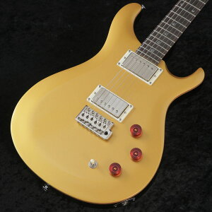 Paul Reed Smith (PRS) / 2024 SE DGT(David Grissom Trem) Moon Inrays Gold Top(重量:3.36kg)【S/N:CTI G105930】