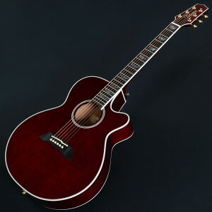 Takamine / FPT181AC WR 100 Series V[gEXP[ y퐻쏊 ^J~l { GAR yS/N 62080422zyrܓXz
