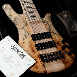 Spector / Custom Order NS-6 32inch Buckeye Burl Top Natural(d:4.11kg)yS/N:2102zyaJXz