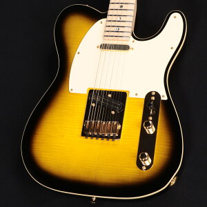 Fender / Japan Exclusive Richie Kotzen Telecaster Brown Sunburst S/N:JD25021620 yS֋XzyYRKz