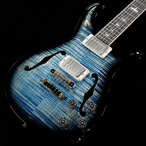 Paul Reed Smith (PRS) / 2024 McCarty 594 Hollowbody II 10 Top Custom Color(d:2.60kg)yS/N:25 0406179zyaJXz