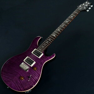 Paul Reed Smith (PRS) / SE Custom 24 Amethyst (AT) Black Back [3.63kg]yS/N CTI G118091 / 2024NzyrܓXz |[E[hEX~X GLM^[ SEV[Y ZbglbN CvlbN 24tbg JX^