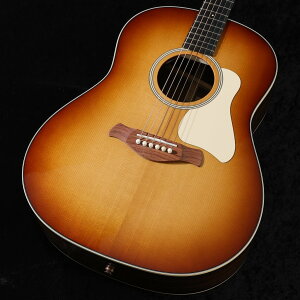 Taylor / Gold Label 717e SByS/N 1204025034zy䒃mHARVEST_GUITARSz