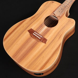 Cole Clark / Touring Series CCFL2EC-BLBL 2 Grade All Blackwood ��S/N:250740309�� �y�S�֋��X�z