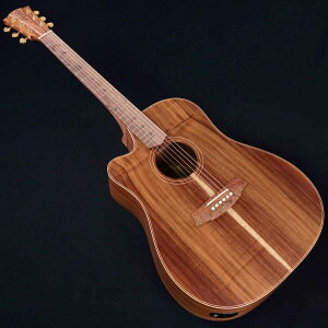 sTtt(摜) Cole Clark / FL Dreadnought Series CCFL2EC-LH-BLBL 2 Grade All Blackwood Left Handed (p) R[N[N ARM GAR AR[XeBbNM^[ teB tgnh y240941444