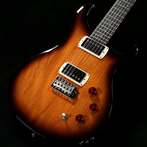 Paul Reed Smith(PRS) / 2025 SE DGT Standard Moons Inlay McCarty Tobacco Sunburst (d:3.19kg)yS/N:CTI H049959zyaJXz