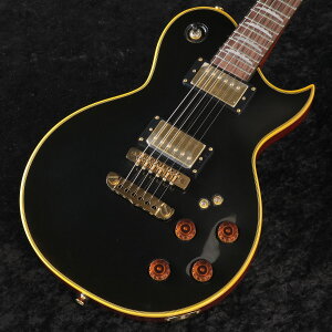 Aria Pro II / PE-F80 LTD (Limited) BKTP (Blacktop) AAv II [CVoVy̔]yS/N 1025040289zy䒃m{Xz