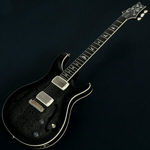 Paul Reed Smith (PRS) / SE Hollowbody Standard Dog Hair Smokeburst [2.69kg]yS/N CTCI04003 / 2025NzyrܓXz |[E[hEX~X GLM^[ SEV[Y }zKj[ 22tbg tAR z[{fB