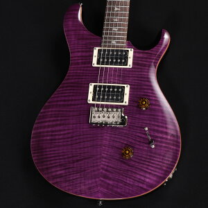 Paul Reed Smith / 2025 SE Custom 24 Amethyst S/N:CTIHG118096 yS֋Xz