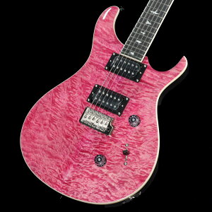 Paul Reed Smith / SE Custom24 Quilt Package Violet(VI) �yS/N�FCTI H010842�z�y�����X�z