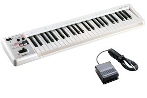 Roland / A-49 WH �t�b�g�y�_��(DP-2)�Z�b�g�y�a�J�X�z