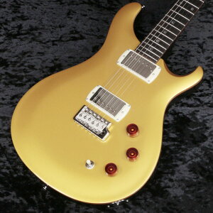 Paul Reed Smith (PRS) / 2025 SE DGT Gold Top Moon Inlays�y�V�h�X�z