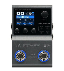 �y�V���i�zValeton / GP-50 �}���`�G�t�F�N�^�[ SnapTone �� IR ���[�_�[ �}���`�G�t�F�N�^�[�y�������K�i�z