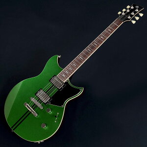 REVSTAR SERIES RSS20 [FGR]