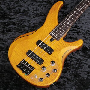 YAMAHA / TRBX604FM Mat Amber (MAM) �y�V�h�X�z