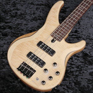 YAMAHA / TRBX604FM Natural Satin (NS)�y�V�h�X�z