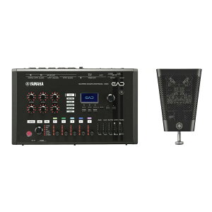 YAMAHA / EAD50 �G���N�g���j�b�N�E�A�R�[�X�e�B�b�N�E�h�������W���[��