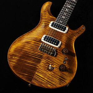 Paul Reed Smith (PRS) / 2025 Custom 24-08 10Top Black Gold(�d��:3.55kg)�yS/N:25 0419997�z �y�䒃�m���{�X�z
