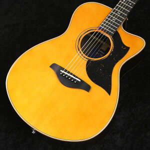 YAMAHA / AC5R ARE Vintage Natural �y���{���z �y�䒃�m���{�X�z