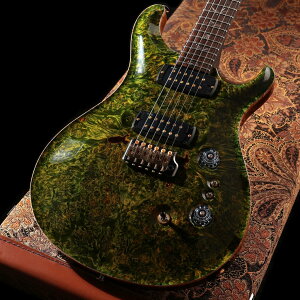 Paul Reed Smith (PRS) / 2026 Private Stock #12293 Custom 24-08 Rainforest(�d��:4.04kg) �y�䒃�m���{�X�z