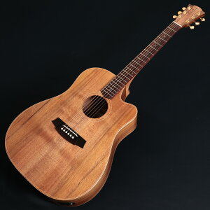 Cole Clark / Touring Series FL2EC-BLBLR All Blackwood Rosewood �s���T�t���t�y���K�㗝�X���i�z�y�r�ܓX�z
