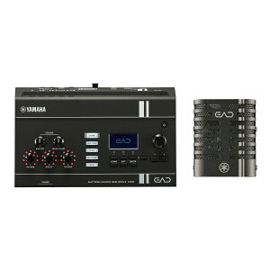 YAMAHA / EAD20 ���}�n �G���N�g���j�b�N�A�R�[�X�e�B�b�N�h�������W���[��