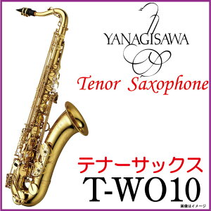 Yanagisawa s[\t iMT/@ei[TbNX@T-WO10@TWO10y5Nۏ؁zyEChpz