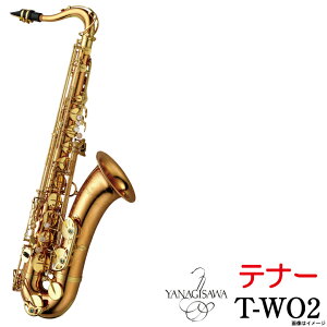 Yanagisawa iMT / s[\tei[TbNX@T-WO2 iMT TWO2y5Nۏ؁zyEChpz