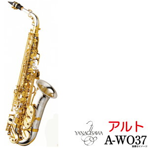 Yanagisawa / A-WO37 iMT AgTbNX _uI[V[Y X^[OVo[ bJ[d wB[EFCg Ǒ̋␻ yEChpz