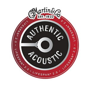 Martin / MA175T 80/20 Bronze 11-52 ARM