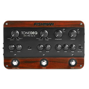 FISHMAN / TONEDEQ [AR[XeBbNEM^[p}`GtFN^[]yaJXz