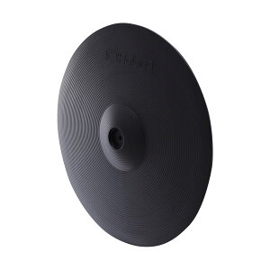 Roland / CY-16R-T Chp VVo pbh 16C`yPNGz