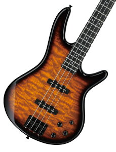 Ibanez / GSR280QA-TYS Transparent Yellow Sunburst WI ACoj[Y